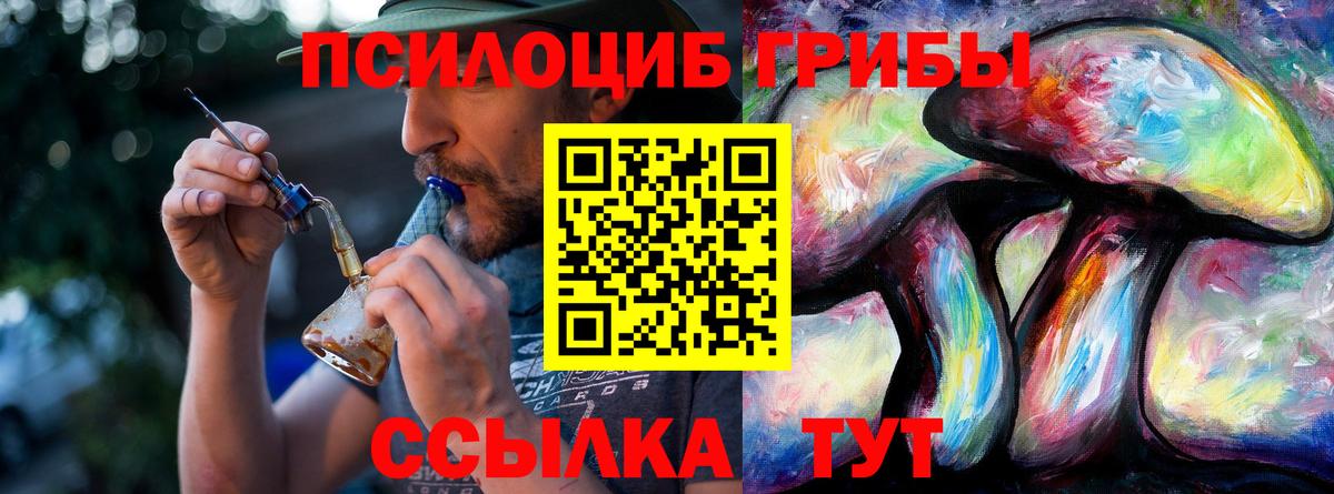 Псилоцибиновые грибы Psilocybine cubensis  Вход с VPN  Красный Сулин 