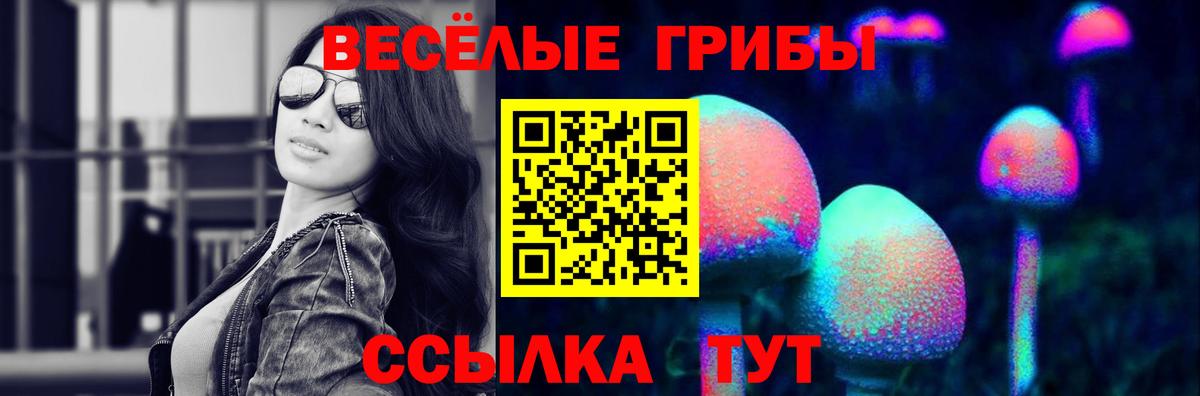 Псилоцибиновые грибы ЛСД Красный Сулин