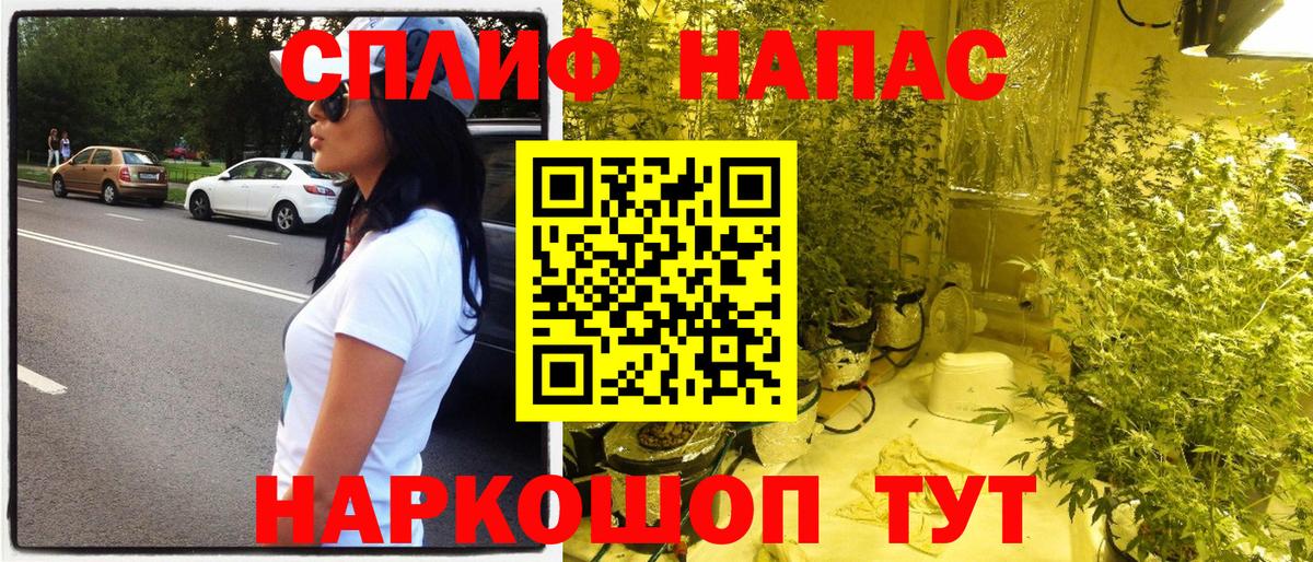 Марихуана сатива  Вход с VPN  Бошки марихуана марихуана  Шишки марихуана Bruce Banner  Красный Сулин 